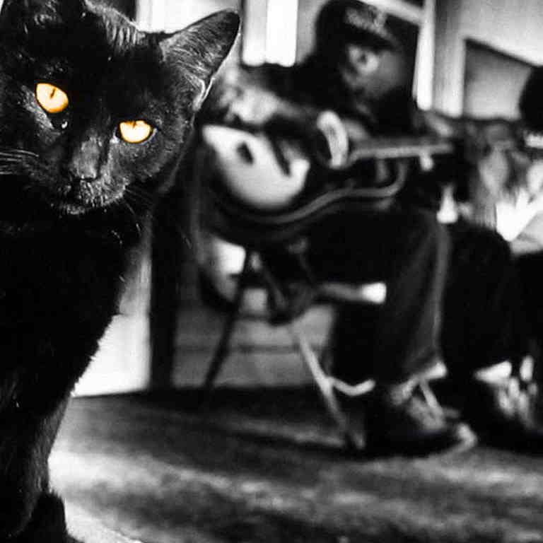 NGBG Black Cat Blues, Fika, Art, Jam & Dans